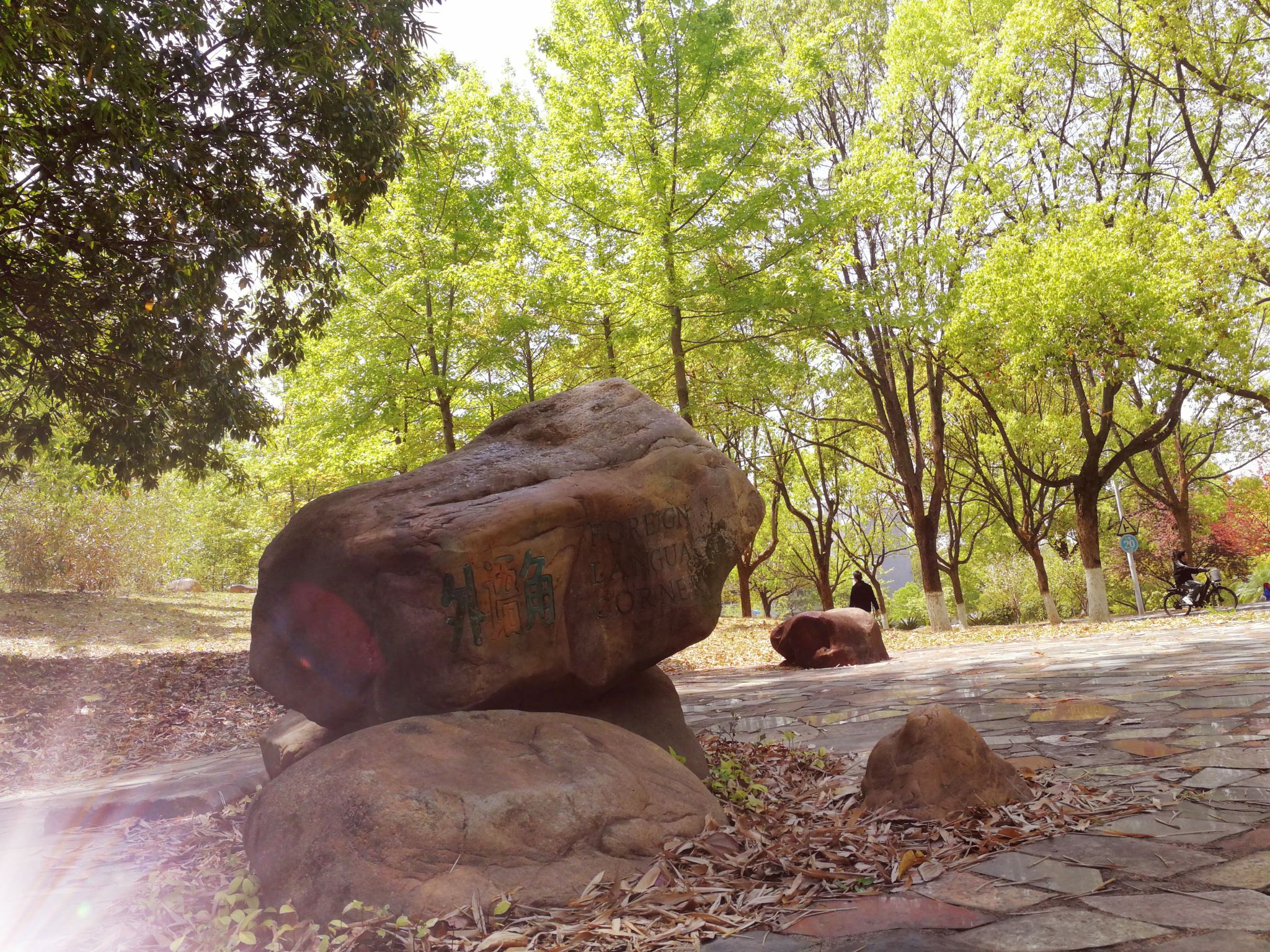  麻豆社
 . 外语角